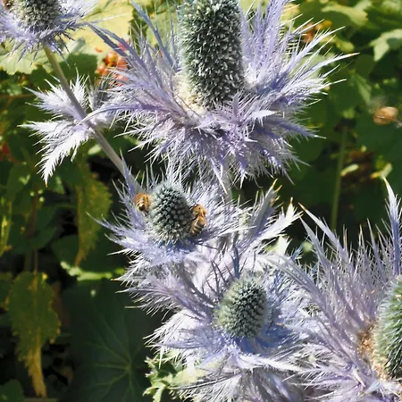 Le Telemark Hotell Pralognan-la-Vanoise